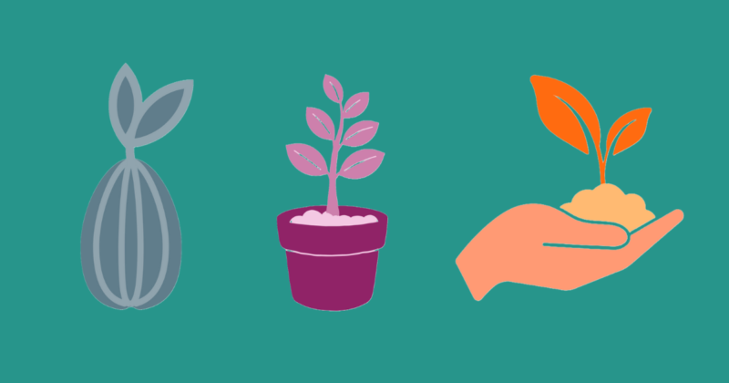 Turquoise Background with graphic illustrations of seed, growth and hand nurturing and support